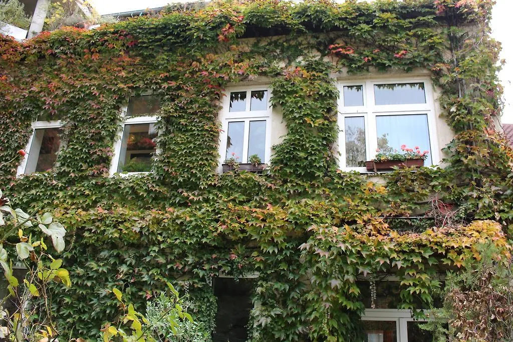 Hotel Wiener Kindl